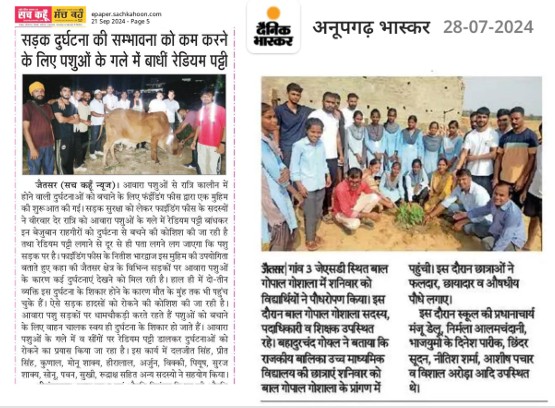 NGO Achievement